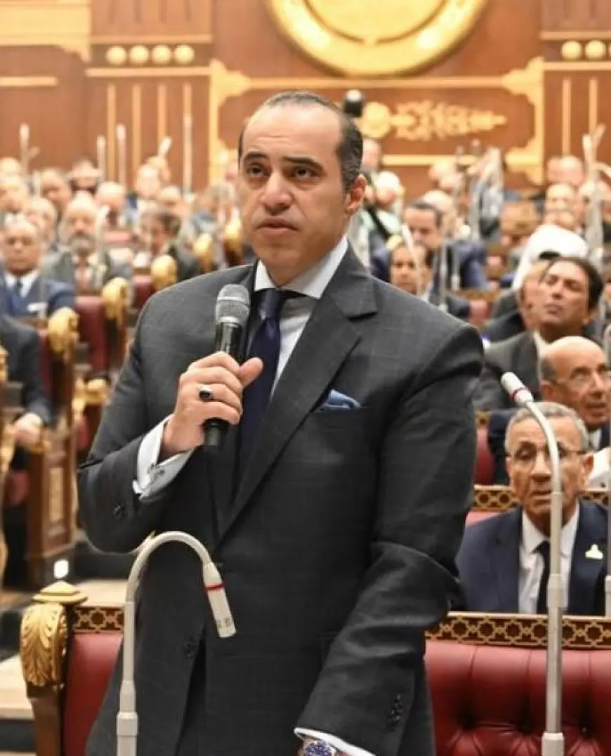المستشار محمود فوزي: من حق أي مجموعة من الأحزاب أو الأفراد تشكيل قوائمها والمشاركة في الانتخابات