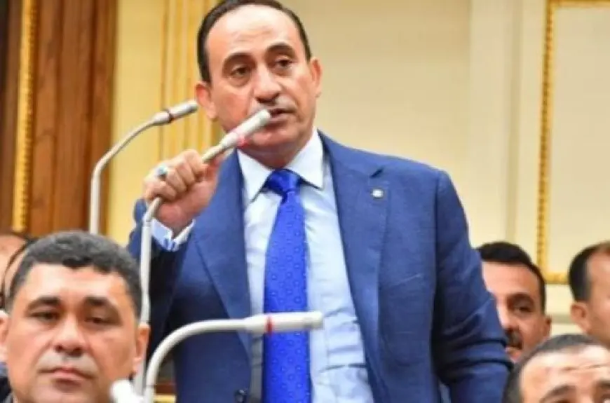النائب محمد زين الدين: قانون مياه الشرب يدعم توجه الدولة في مشاركة القطاع بالاستثمار