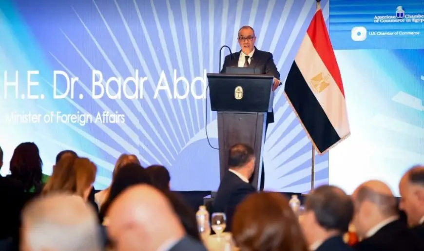 وزير الخارجية: استقرار مصر مستدام لأنه مرتبط بوعي الشعب
