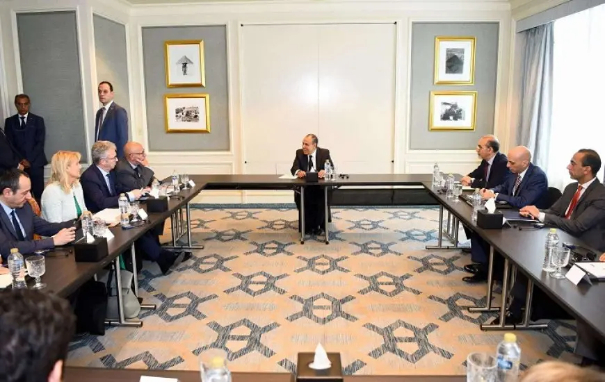 وزير الخارجية: نتطلع لمواصلة العمل المشترك مع كل مؤسسات الاتحاد الأوروبى لدعم الشراكة القائمة بين الجانبين