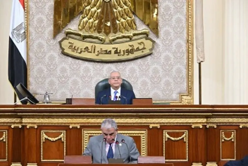 انطلاق الجلسة العامة بالنواب لمناقشة زيادة العلاوة الدورية