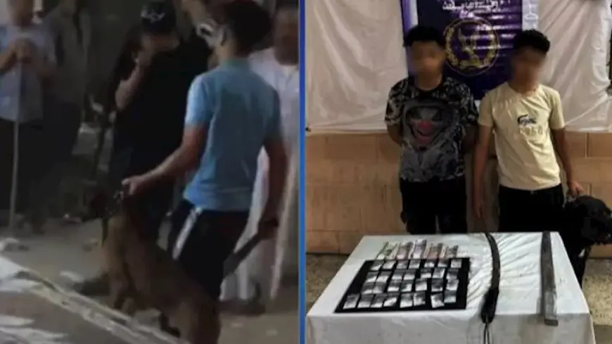 استخدموا كلبًا شرسًا.. الداخلية تكشف تفاصيل فيديو مشاجرة عنيفة في الجيزة