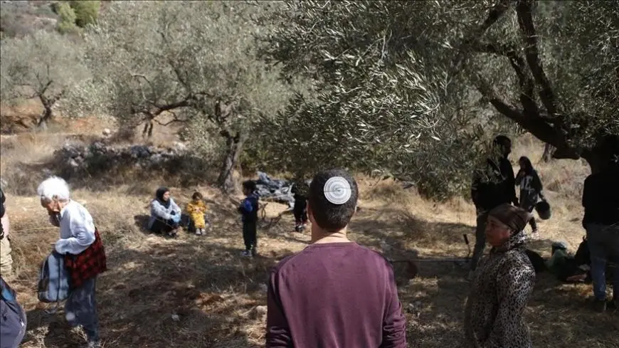 مستوطنون يهاجمون مزارعين فلسطينيين وسط الضفة