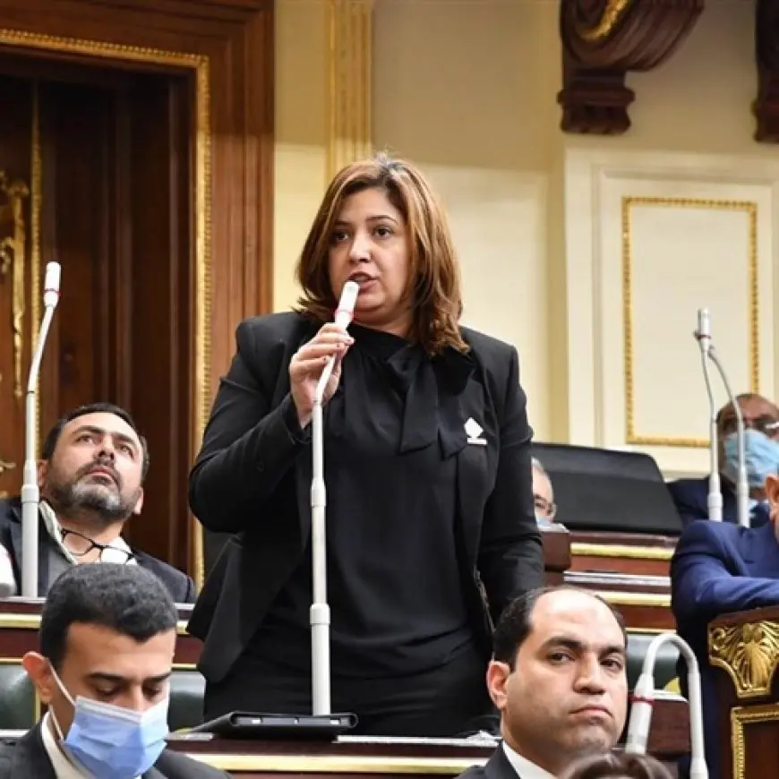 النائبة أميرة العادلي تقدم طلب إحاطة لحل أزمة المدارس التجريبية