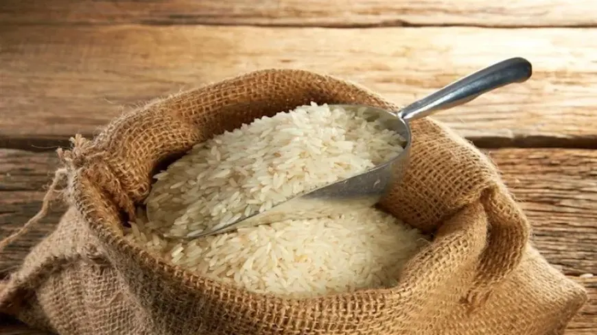 ألف جنيه انخفاضا في سعر الأرز للطن خلال أسبوع.. الشعبة توضح السبب