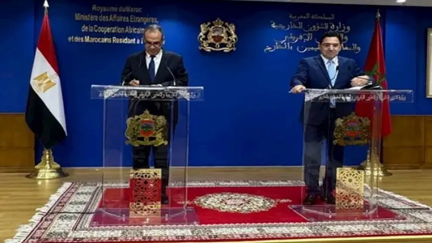 عبد العاطي يسلّم رسالة من الرئيس السيسي إلى ملك المغرب