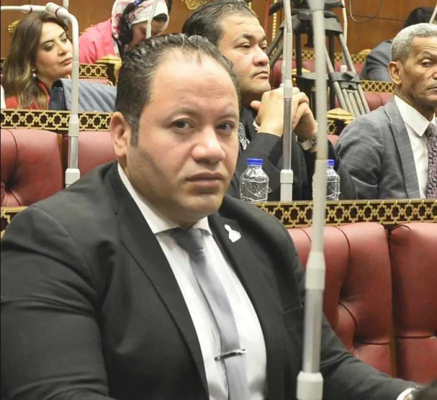 النائب مصطفى سالمان: مبادرة الرواد الرقميين خطوة استراتيجية نحو بناء مجتمع معرفي