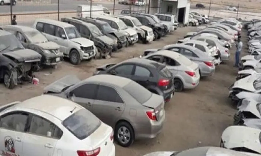 23.1 مليون جنيه حصيلة بيع سيارات وبضائع بجمارك بورسعيد بمزاد اليوم