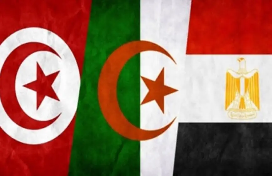 وزراء خارجية مصر وتونس والجزائر يبحثون مستجدّات الأوضاع في ليبيا بالقاهرة غدا