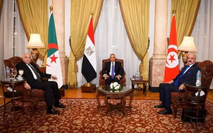 وزير الخارجية: الملف الليبي أولوية بالنسبة للأمن القومي لمصر والجزائر وتونس