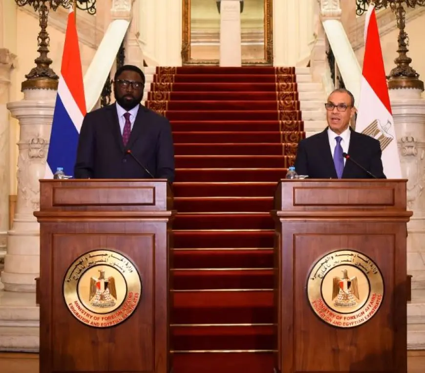 وزير الخارجية: جهود مصر مستمرة على مدار الساعة لسرعة وقف الحرب على غزة