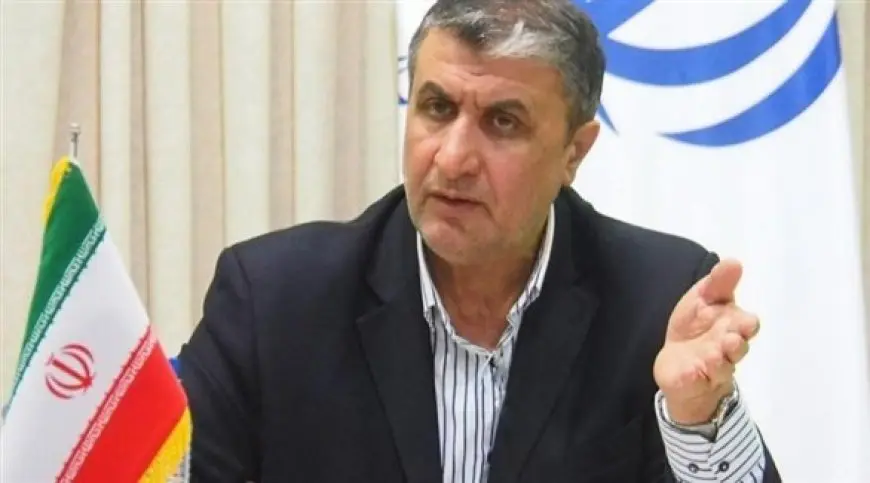 رئيس منظمة الطاقة الذرية الإيرانية: نشهد بعض التقدم في المفاوضات غير المباشرة مع أمريكا
