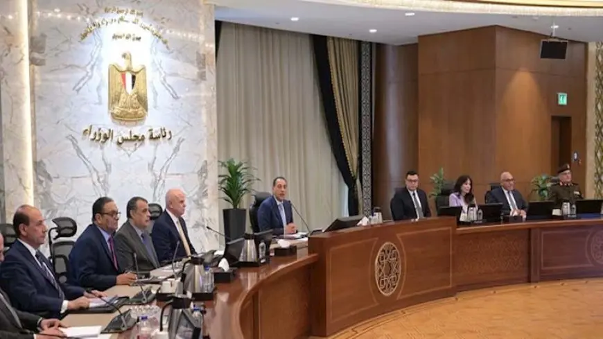 لجمع 6 مليار دولار.. مصر تخطط طرح حصص في 11 شركة من النصف الثاني 2025