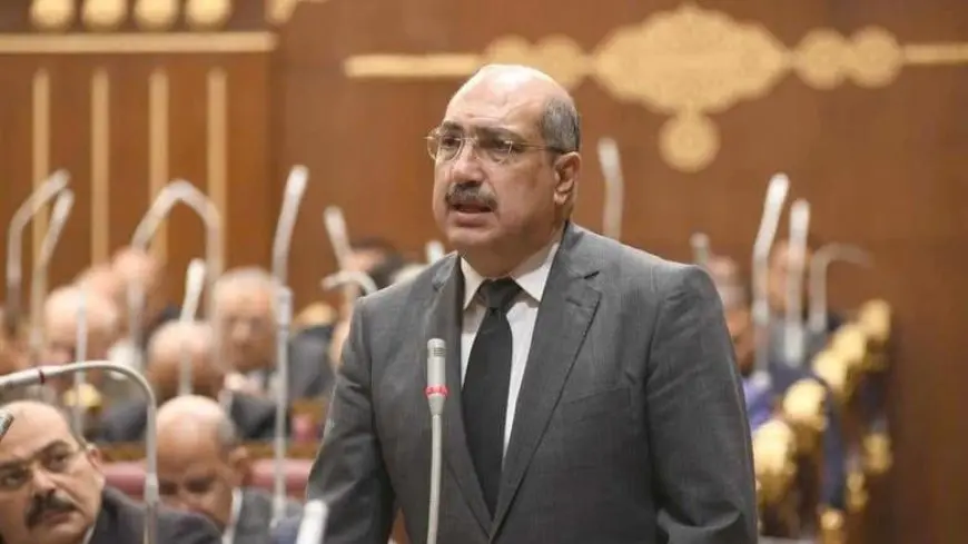 رئيس برلمانية الشعب الجمهوري بالشيوخ يطالب بإعفاء نهائي للمنشآت الصناعية من الضرائب العقارية