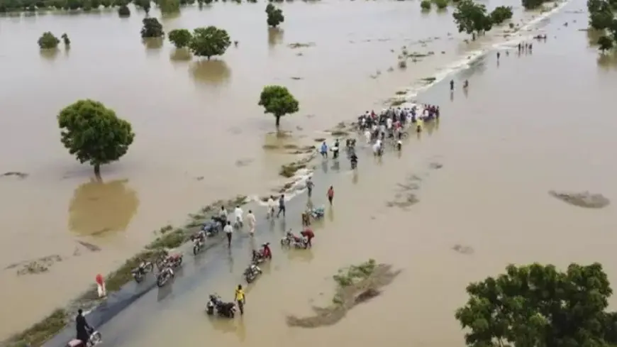 نيجيريا: ارتفاع حصيلة ضحايا الفيضانات إلى 200 شخص