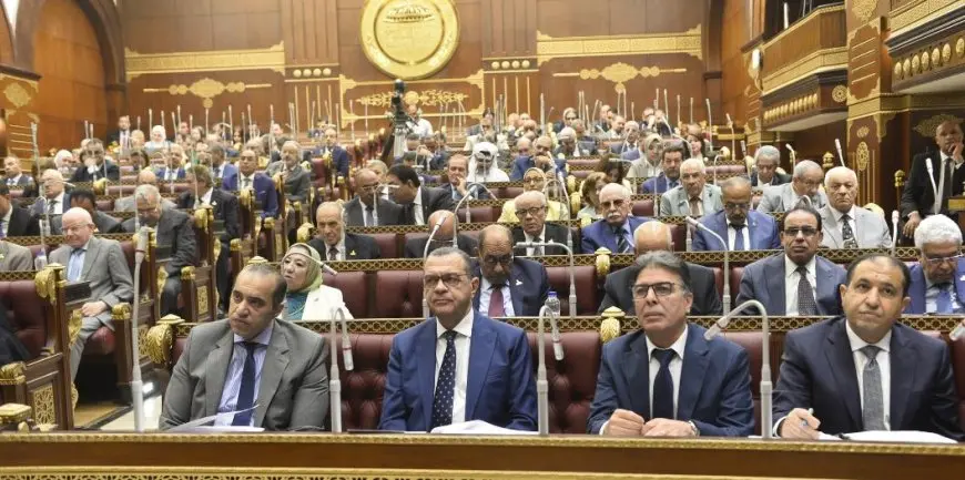 مجلس الشيوخ يناقش أثر التغيرات المناخية على المناطق الساحلية
