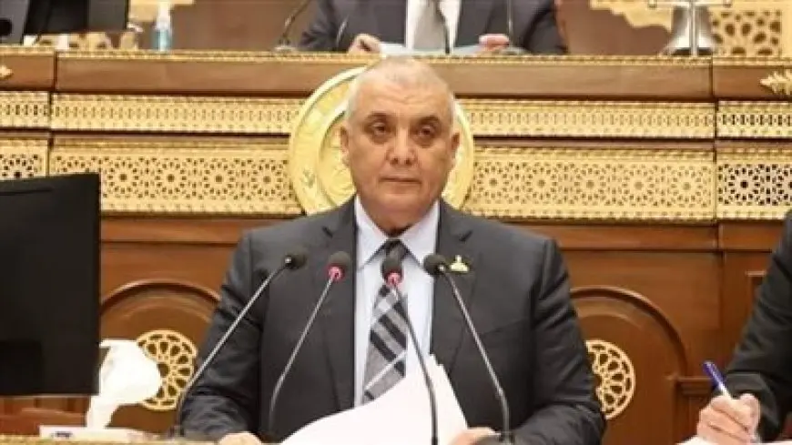 أمام مجلس الشيوخ.. النائب عبدالمجيد الأشقر يستعرض طلبه بشأن الاقتصاد الأزرق 