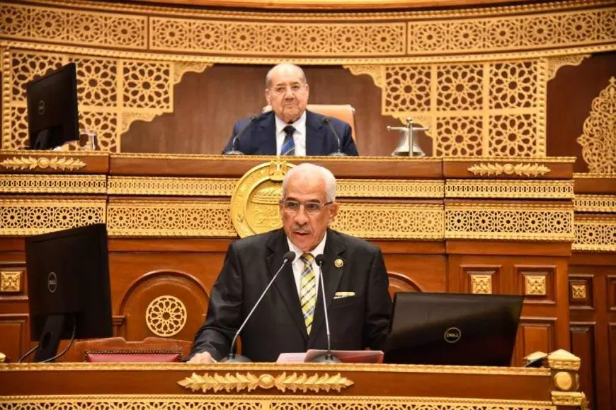 رئيس مجلس الشيوخ: مازلنا مغيبين ونتناول ملف البيئة برفاهية