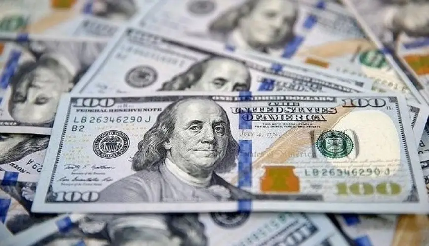 البنك المركزي يبيع أذون خزانة دولارية بقيمة 485.5 مليون دولار بمتوسط عائد 4.25%