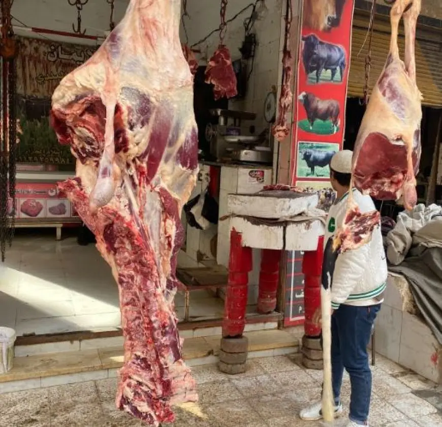 شعبة القصابين: وفرة في اللحوم بالأسواق.. والعلف هو المتحكم بالسعر