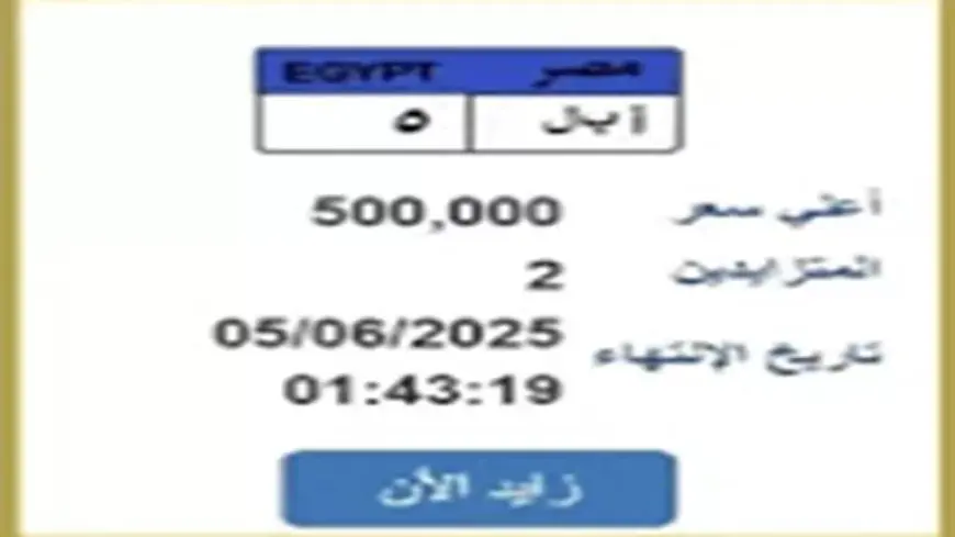 لوحة مميزة بـ500 ألف جنيه.. مزايدة إلكترونية على “أ ب ل 5” عبر بوابة مرور مصر