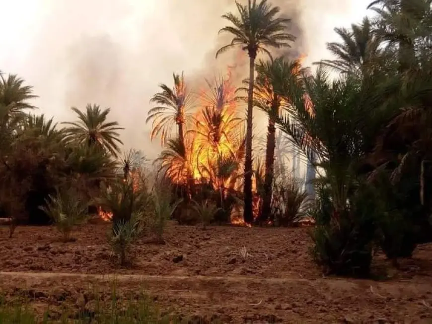 اندلاع حريق بواحة نخيل جنوب شرق المغرب