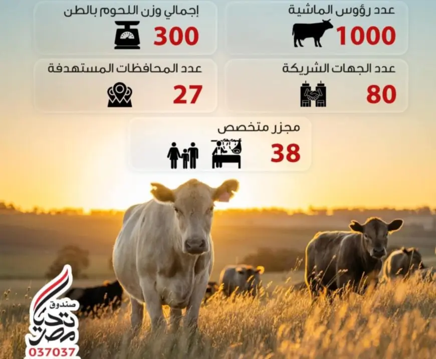 صندوق تحيا مصر يصل إلى 1.5 مليون مستفيد بلحوم الأضاحي من الأسر الأولى بالرعاية في جميع المحافظات