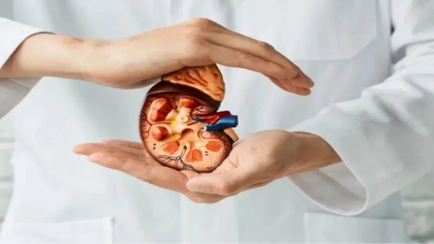 علامات تكشف الفشل الكلوي المتأخر.. اذهب للطبيب فورا
