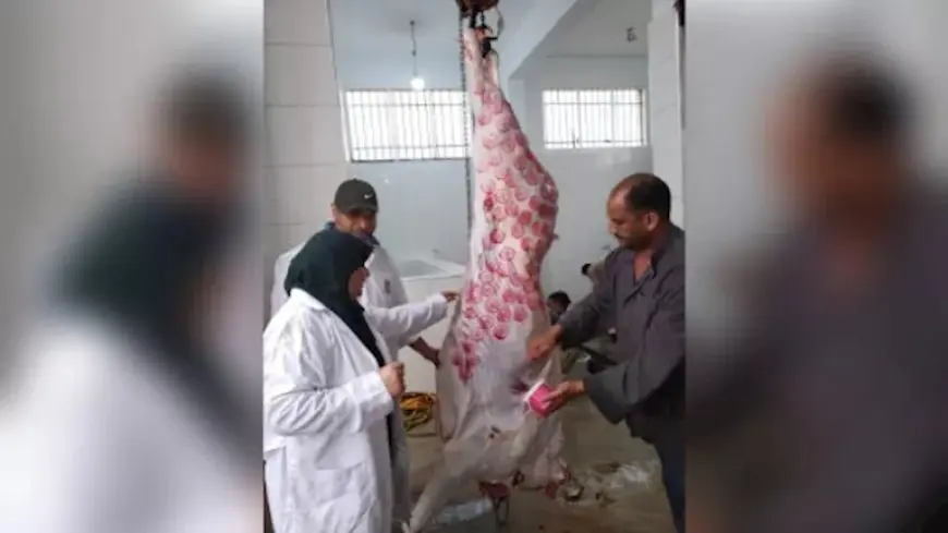 نقاط الذبح المعتمدة في عيد الأضحى بالإسماعيلية