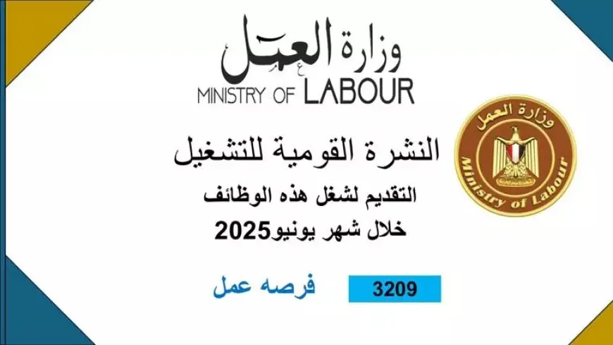 3 آلاف فرصة عمل جديدة بـ14 محافظة| التخصصات وخطوات التقديم
