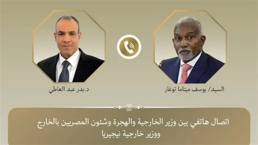 وزير الخارجية: مصر حريصة على تقديم الدعم لنيجيريا لمكافحة التطرف من خلال الأزهر