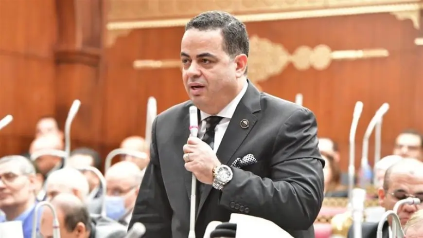 أمين مساعد حزب مستقبل وطن: الحزب يمتلك بنية تنظيمية قوية ممتدة إلى كل أنحاء الجمهورية