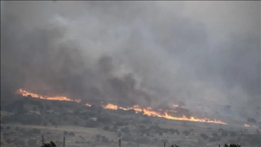 إسرائيل: اندلاع حريق في غابة جنوب غرب القدس