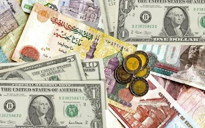 11 يونيو 2025.. الدولار يواصل تراجعه أمام الجنيه لليوم الثاني على التوالي
