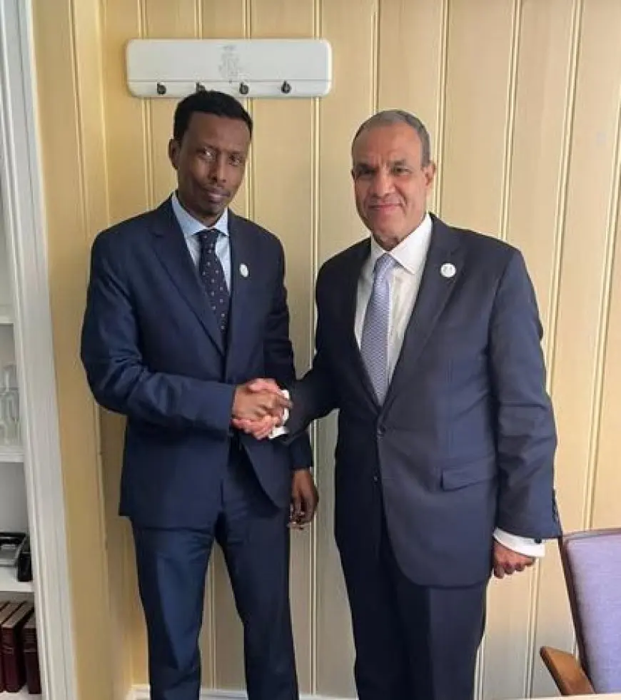 وزير الخارجية يبحث مع مستشار الأمن القومي الصومالي سبل تعزيز العلاقات