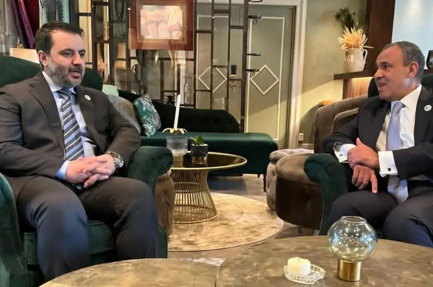 وزير الخارجية: مصر تقف مع الشعب السوري الشقيق
