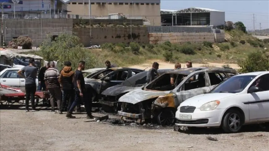 الضفة.. مستوطنون يهاجمون منازل وممتلكات فلسطينية في بلدة بيتا