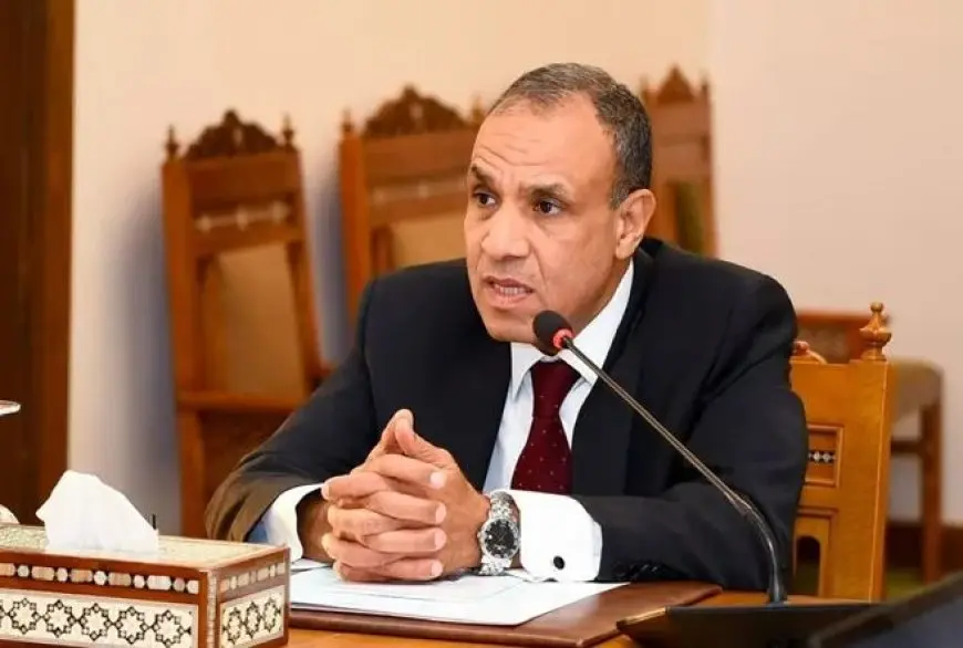 وزيرا خارجية مصر وألمانيا يحذران من انزلاق المنطقة إلى فوضى شاملة وعارمة