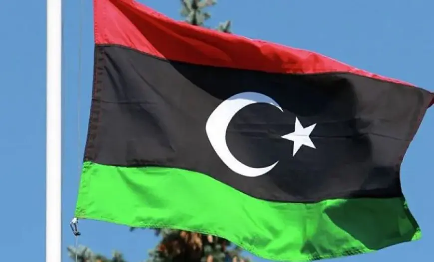 ليبيا.. الحكومة المكلفة من مجلس النواب تشترط إجراءات قانونية لعبور الأجانب بقافلة الصمود
