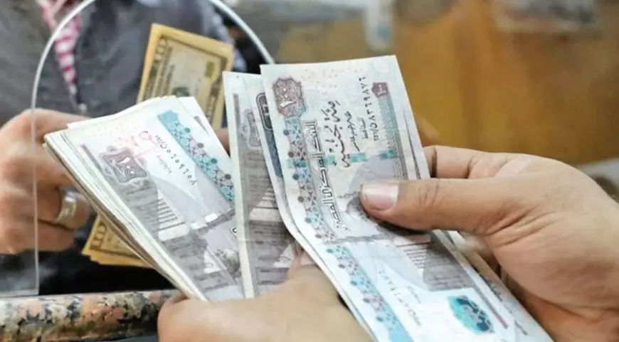 البنوك تدعم مخصصاتها بقيمة 40 مليار جنيه لمجابهة التعثر