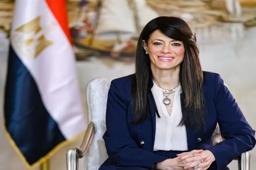 المشاط: توفير خدمات استشارية ومشروعات دعم فني للقطاع الخاص تجاوزت 200 مليون دولار على مدار 5 أعوام