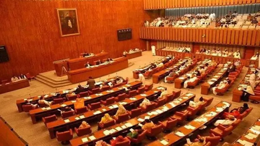 باكستان.. مجلس الشيوخ يصادق على مشروع قرار بدعم إيران ضد إسرائيل