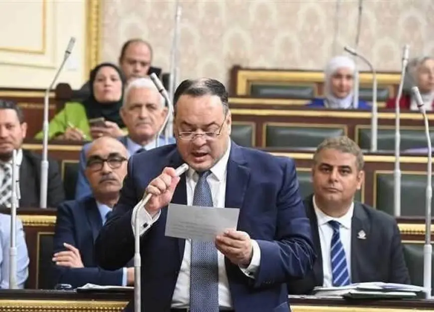 النائب سامي ضيف الله يتحدث للمرة الأولى في مجلس النواب: نحن دولة يحكمها قيادة سياسية حكيمة