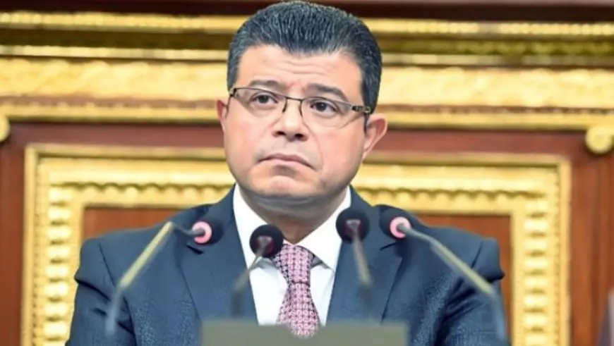 النائب محمد سليمان يشيد بالموازنة.. ومحمد بدراوي ينتقد الاعتماد على الضرائب