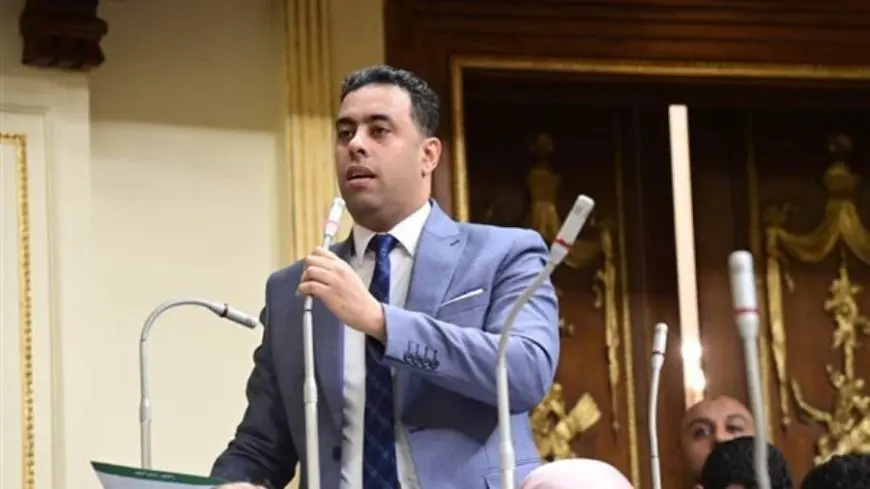 النائب أحمد فرغلي يرفض مشروع الموازنة العامة للعام المالي الجديد