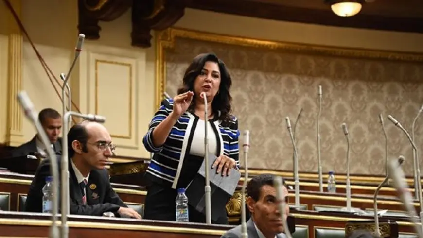 النائبة أميرة العادلي ترفض الموازنة العامة: نصيب الفرد من مستحقي الدعم 7 جنيه ونصف