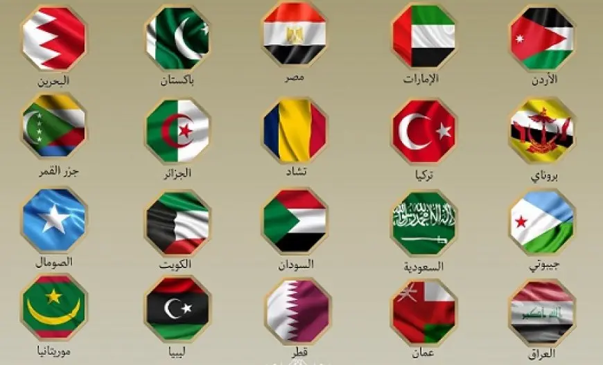 بينها مصر.. بيان مشترك لـ20 دولة عربية وإسلامية يدين هجمات إسرائيل ضد إيران ويدعو لعودة المفاوضات