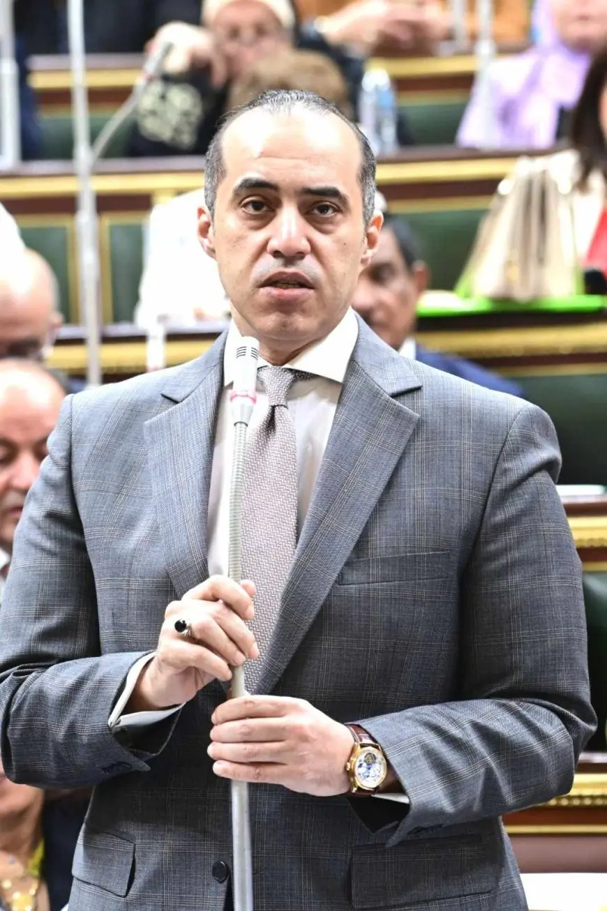 المستشار محمود فوزي: الحكومة التزمت بالنسب الدستورية في الإنفاق على الصحة والتعليم