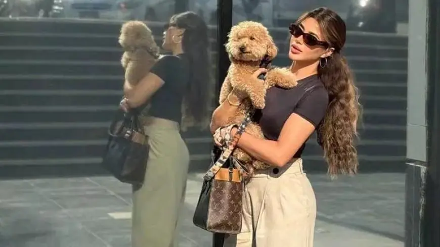 “مع كلبها”.. يارا السكري تخطف الأنظار من أحدث ظهور لها