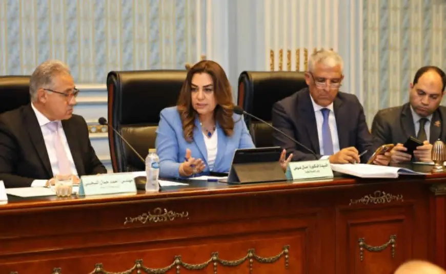 التنمية المحلية: رفع 6.4 مليون طن مخلفات وتنفيذ 25 محطة وسيطة و10 مصانع معالجة وتدوير بالمحافظات